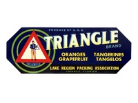 Triangle Florida Citrus Crate Label