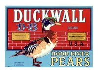 Duckwall Oregon Pear Crate Label