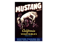 Mustang Crate Label-Lg.