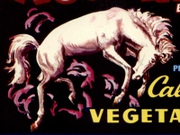 Mustang Vegetables - Sm