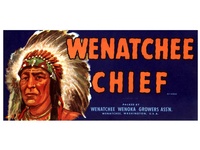 Wenatchee Chief Peaches
