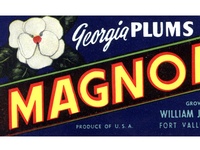 Georgia Plum Label