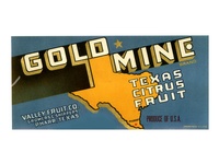 Gold Mine Texas Citrus Fruit Crate label
