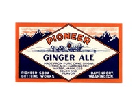Pioneer Ginger Ale