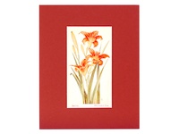 Day Lily - 1929