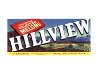 Hillview Calif Melons