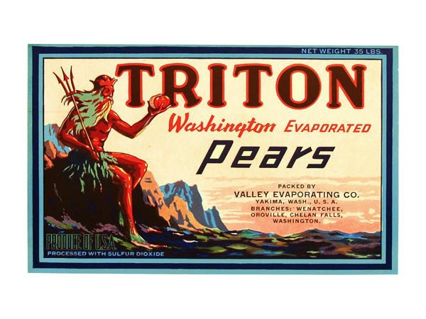 Triton Washington Evaporated Pear Label