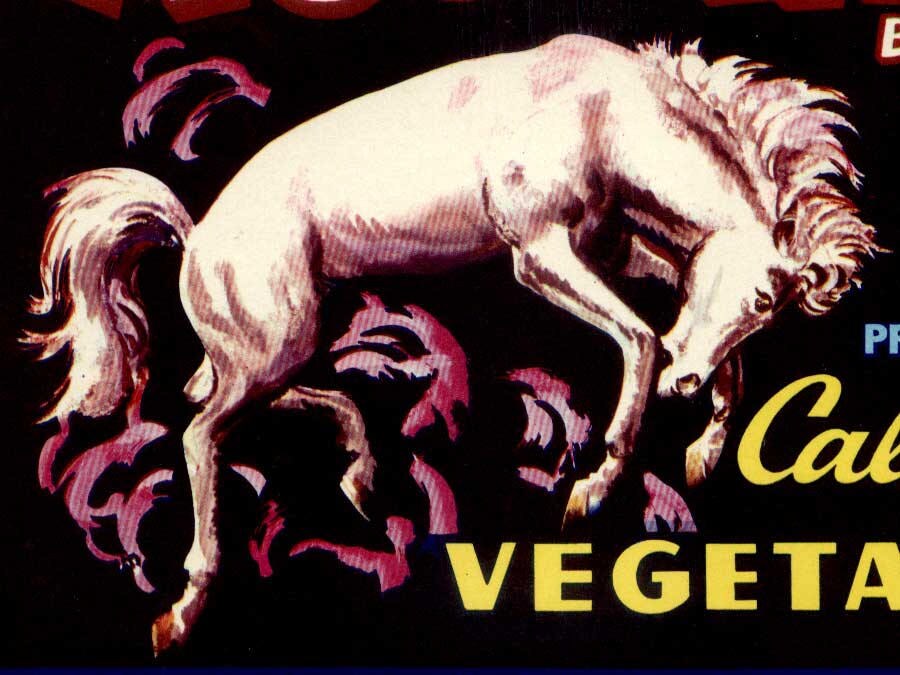 Mustang California Vegetables - Smaller Horizontal