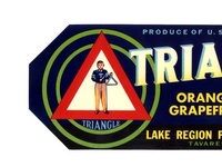 Triangle Florida Citrus