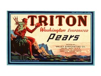 Triton Washington Evaporated Pear Label
