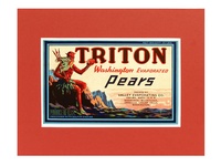 Triton Washington Pear Crate Label