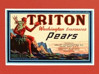 Mounted Triton Label