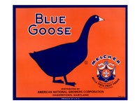 Blue Goose Apple Crate Label