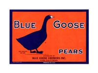 Blue Goose California Pear Crate label