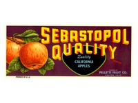 Sebastopol Quality California Apples
