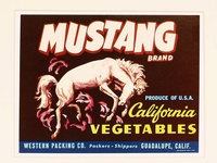 Mustang California Label