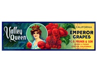 Valley Queen Grape Crate Label