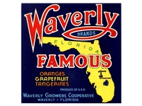 Waverly Famous Florida Citrus Crate Label
