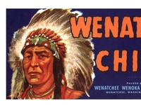 Wenatchee Chief Peaches