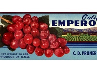 Emperor Grapes