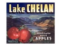 Lake Chelan Washington Boxed Apples