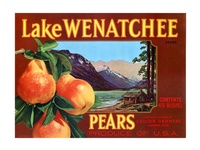 Lake Wenatchee Pears - Brown label