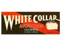 Large White Collar Avocado Crate label