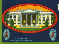 White House Vegetables