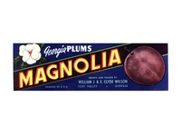Magnolia Brand Georgia Plum Crate Label