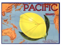 Pacific Brand Lemons