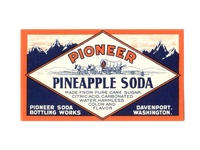 Pioneer Pineapple Soda Label