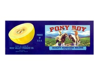 Pony Boy California Honeydew Melon Crate Label