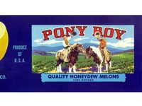 Pony Boy Melons