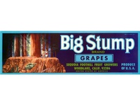 Big Stump California Grape Crate Label