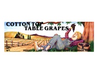 Cotton Top California Table Grapes
