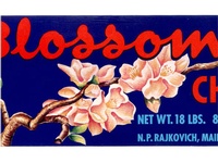 Blossom Farms Cherries