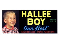 Hallee Boy Florida Crate Label