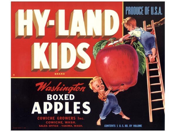 Hy-Land Kids Washington Apple Label (Red)