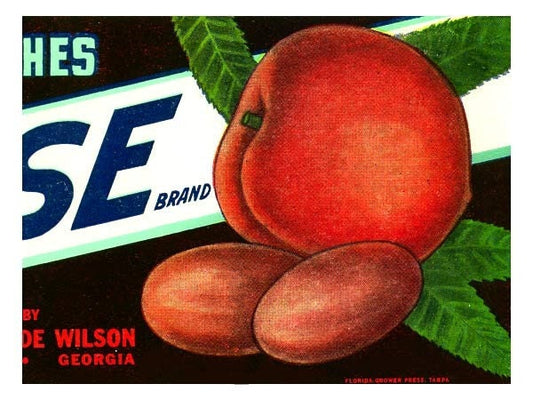 Rose Brand Georgia Peaches & Pecans Crate Label
