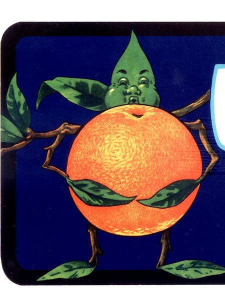 Full Brand Florida Citrus Crate Label