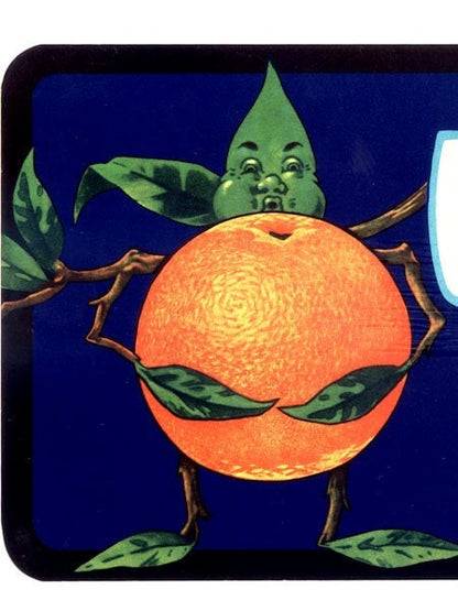 Full Brand Florida Citrus Crate Label