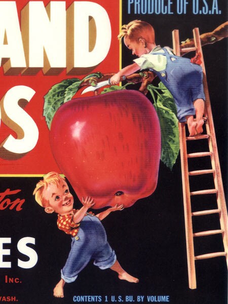 Hy-Land Kids Washington Apple Label (Red)