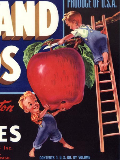 Hy-Land Kids Washington Apple Crate Label (Blue)