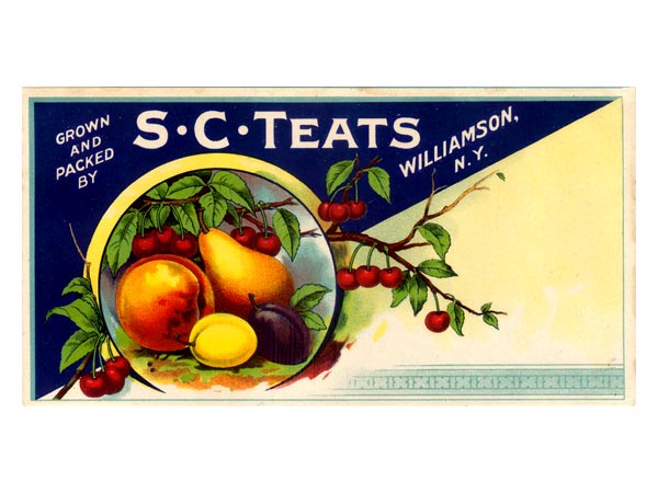 S.C. Teats New York Fruit Label