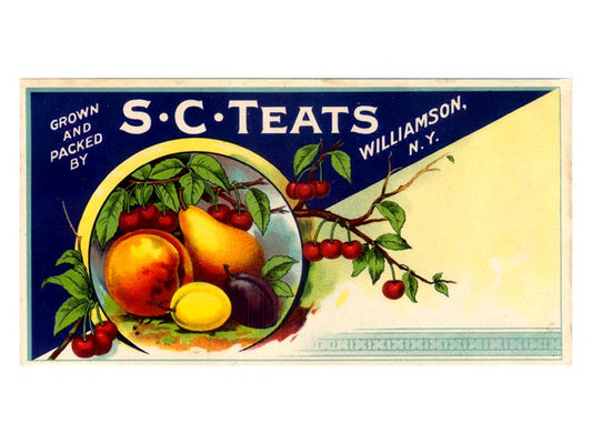 S.C. Teats New York Fruit Label