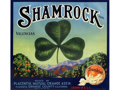 Shamrock California Orange Crate Label