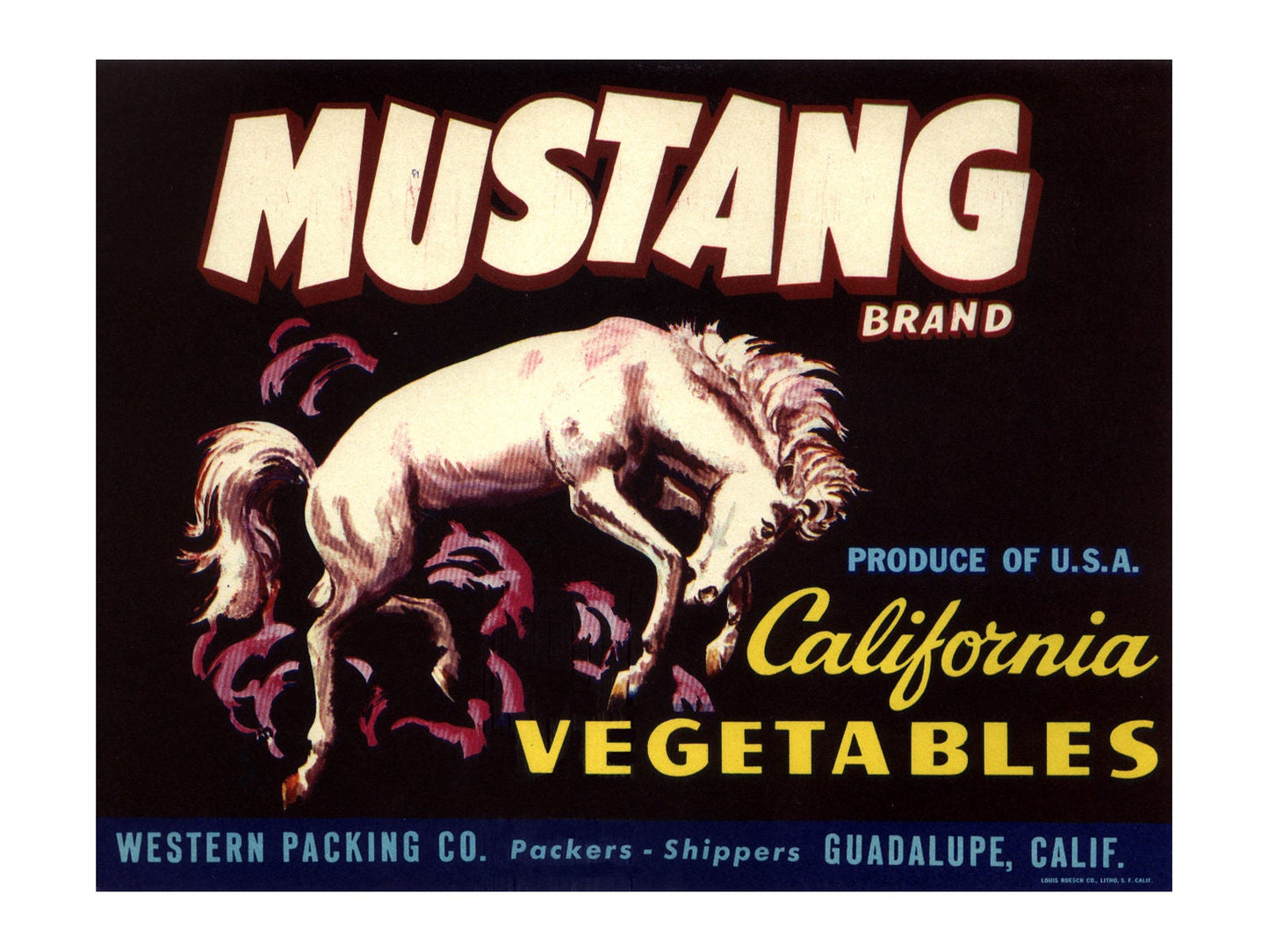 Mustang California Vegetables - Smaller Horizontal