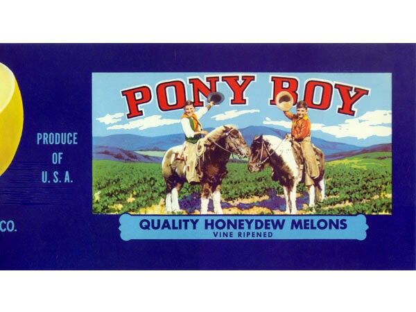 Pony Boy California Honeydew Melon Crate Label