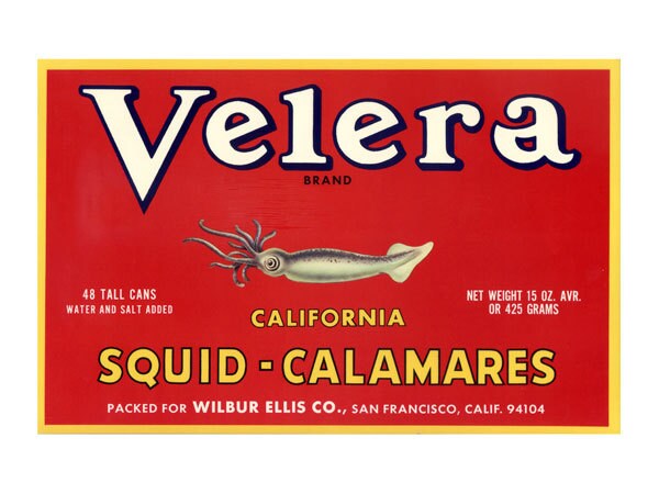 Velera California Squid Label